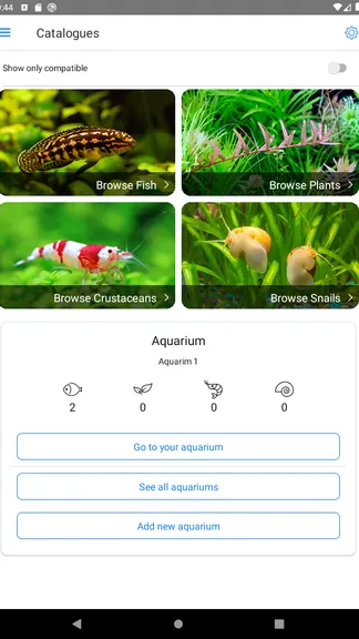 Скриншот 6/10