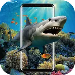 Shark Wallpaper логотип
