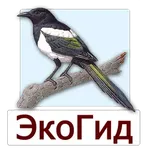 ЭкоГид: Птицы средней полосы логотип