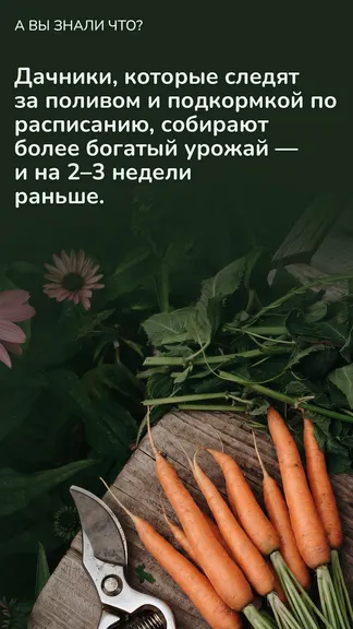 Скриншот 8/8