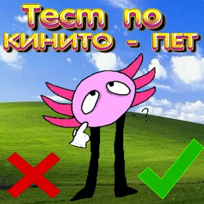 Тест по Кинито