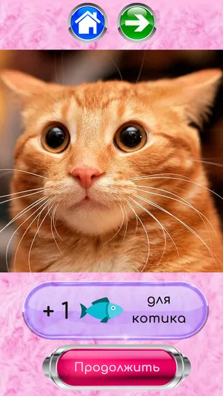 Скриншот 2/4