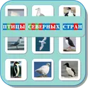Карточки Логопеда Птицы Северных стран (121) логотип