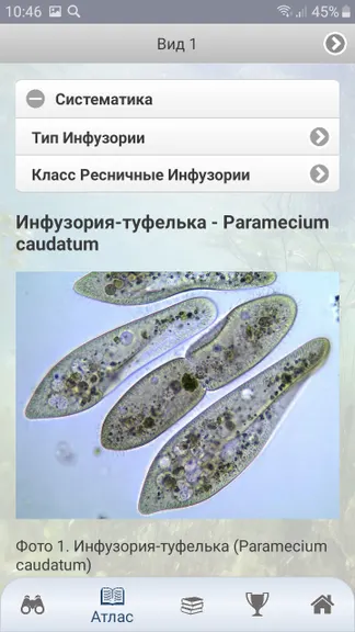 Скриншот 10/10