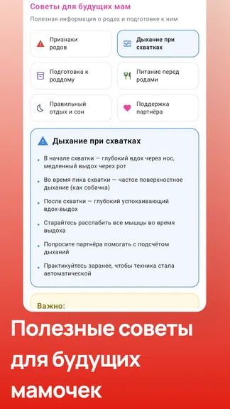 Скриншот 5/5