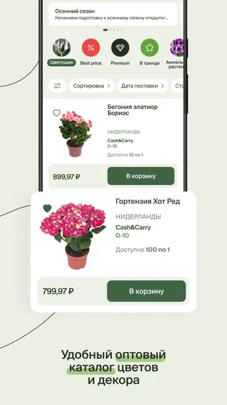 Скриншот 1/7