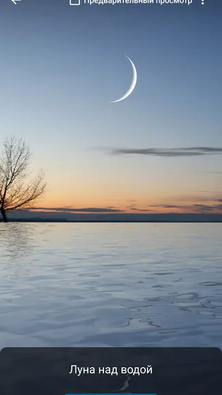 Скриншот 7/10