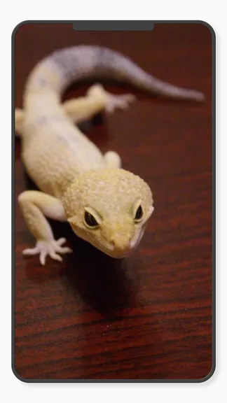 Скриншот 9/10