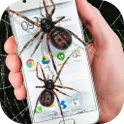 Spider in phone funny joke логотип