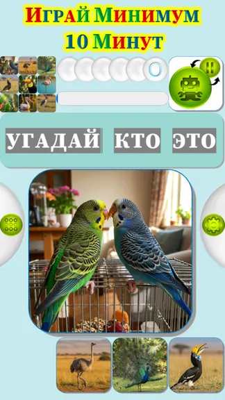 Скриншот 2/4