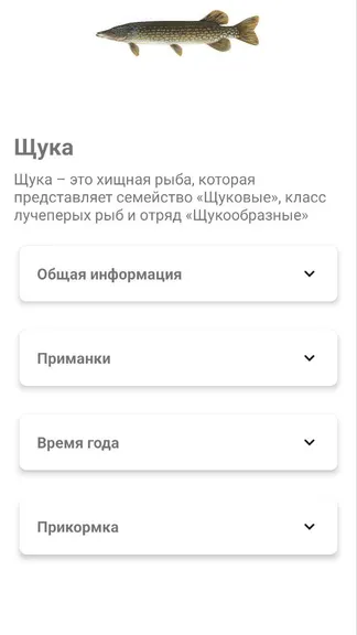 Скриншот 3/3