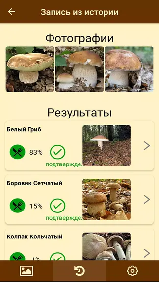 Скриншот 6/7