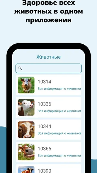 Скриншот 3/6