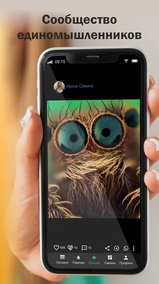 Скриншот 6/6