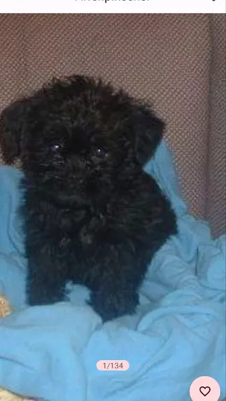 Скриншот 3/3