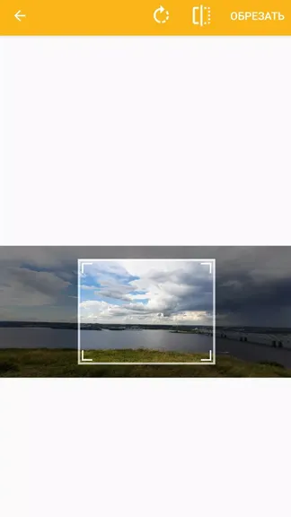 Скриншот 4/5