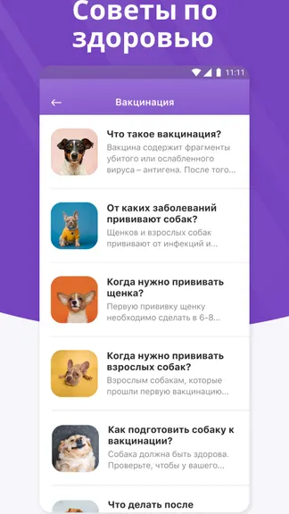 Скриншот 8/8