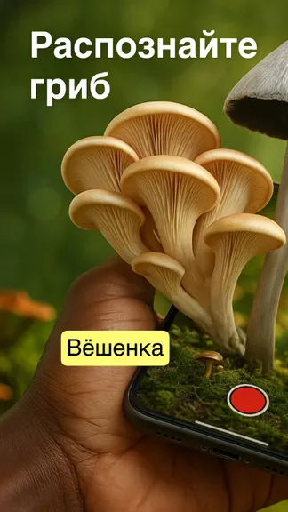 Скриншот 1/10