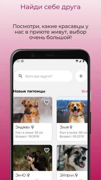 Скриншот 1/5