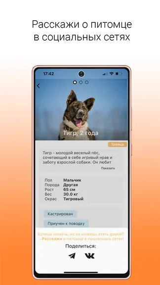 Скриншот 2/6