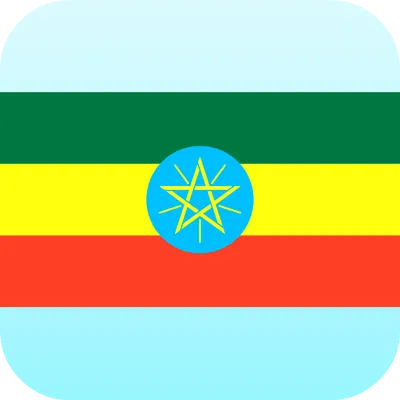 Amharic english translator