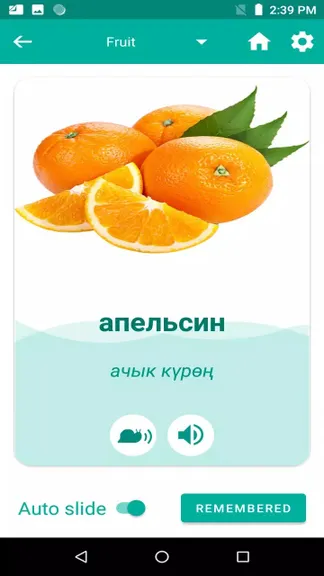 Скриншот 4/4