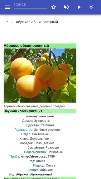 Скриншот 8/8