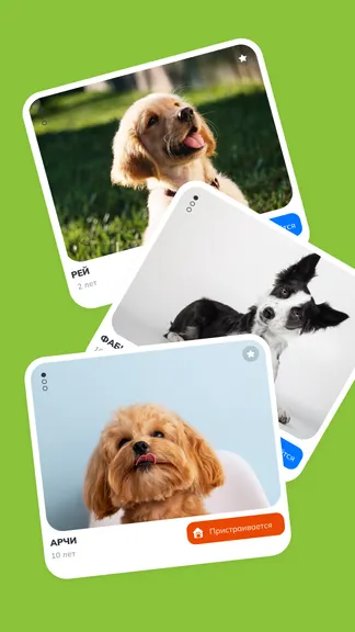 Скриншот 1/6