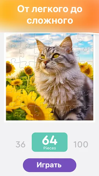 Скриншот 2/6