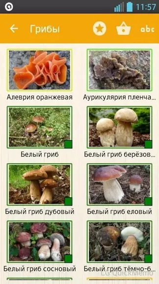 Скриншот 2/5