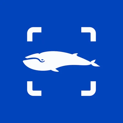 Finwhale®