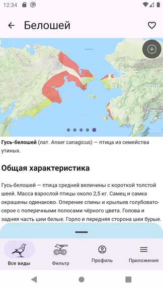 Скриншот 5/8