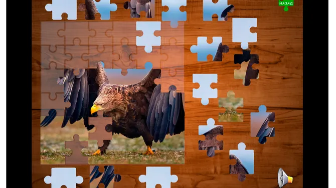 Скриншот 3/4