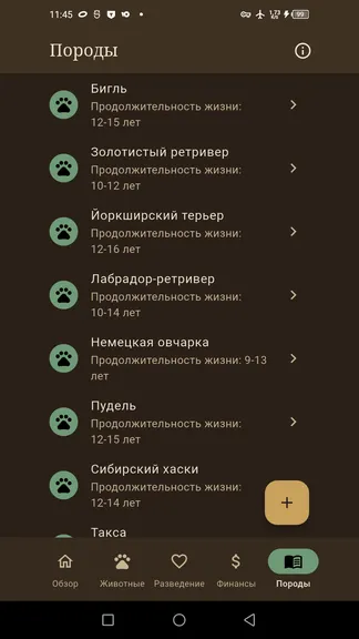 Скриншот 8/10