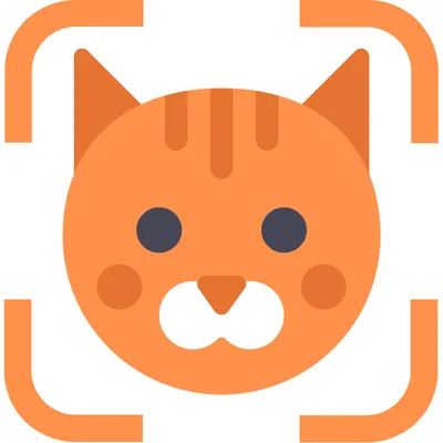 CatNetwork