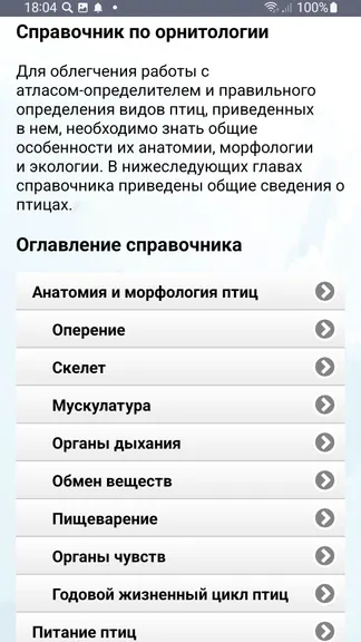 Скриншот 5/8