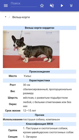 Скриншот 2/5