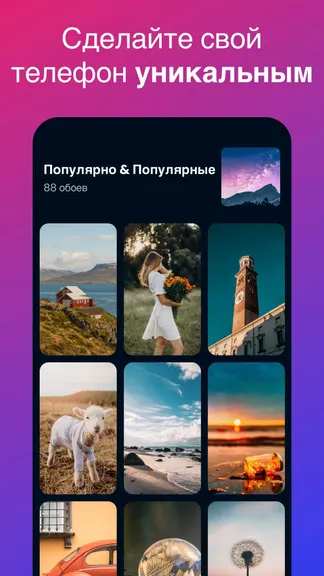 Скриншот 7/7