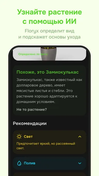 Скриншот 2/6