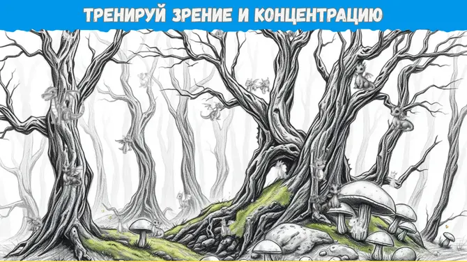 Скриншот 3/4