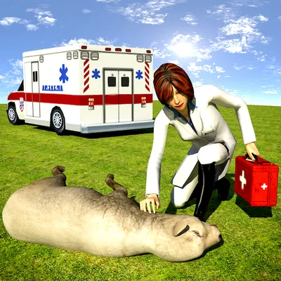 Animals Rescue Mission: Lady Doctor Games