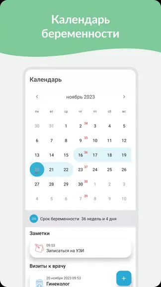 Скриншот 2/8