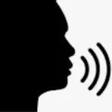 VoiceAssApp1.5 логотип