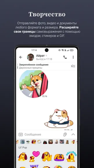 Скриншот 4/4