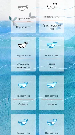 Скриншот 1/5