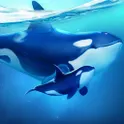 World of Water логотип
