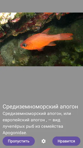 Скриншот 5/5