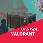 VALORANT CASE логотип