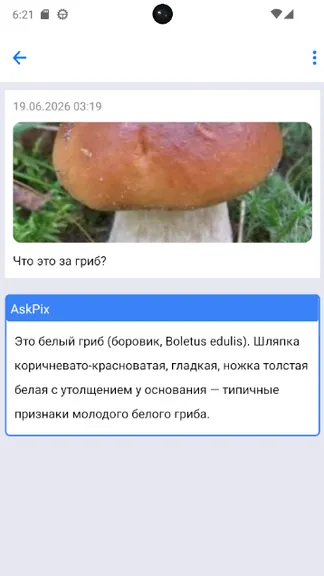 Скриншот 4/5