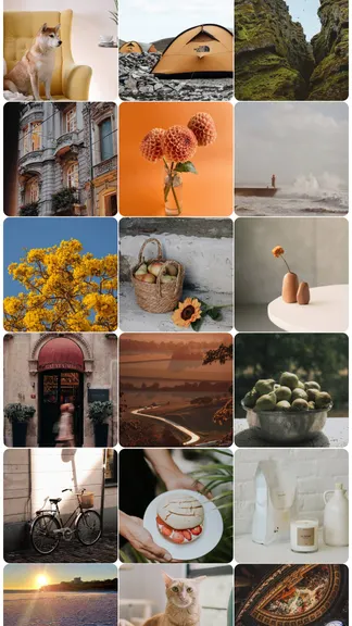 Скриншот 3/4